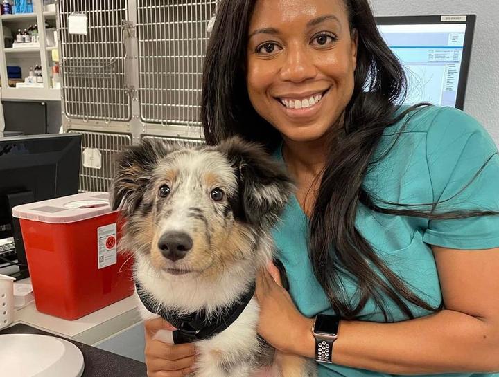 Pet Prescriptions Flower Mound Pet Pharmacy